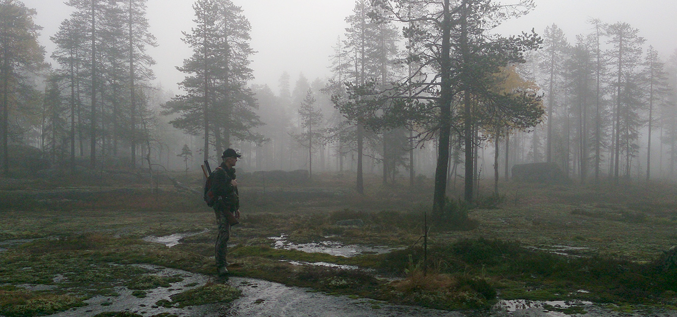 Misty morning in grouse land